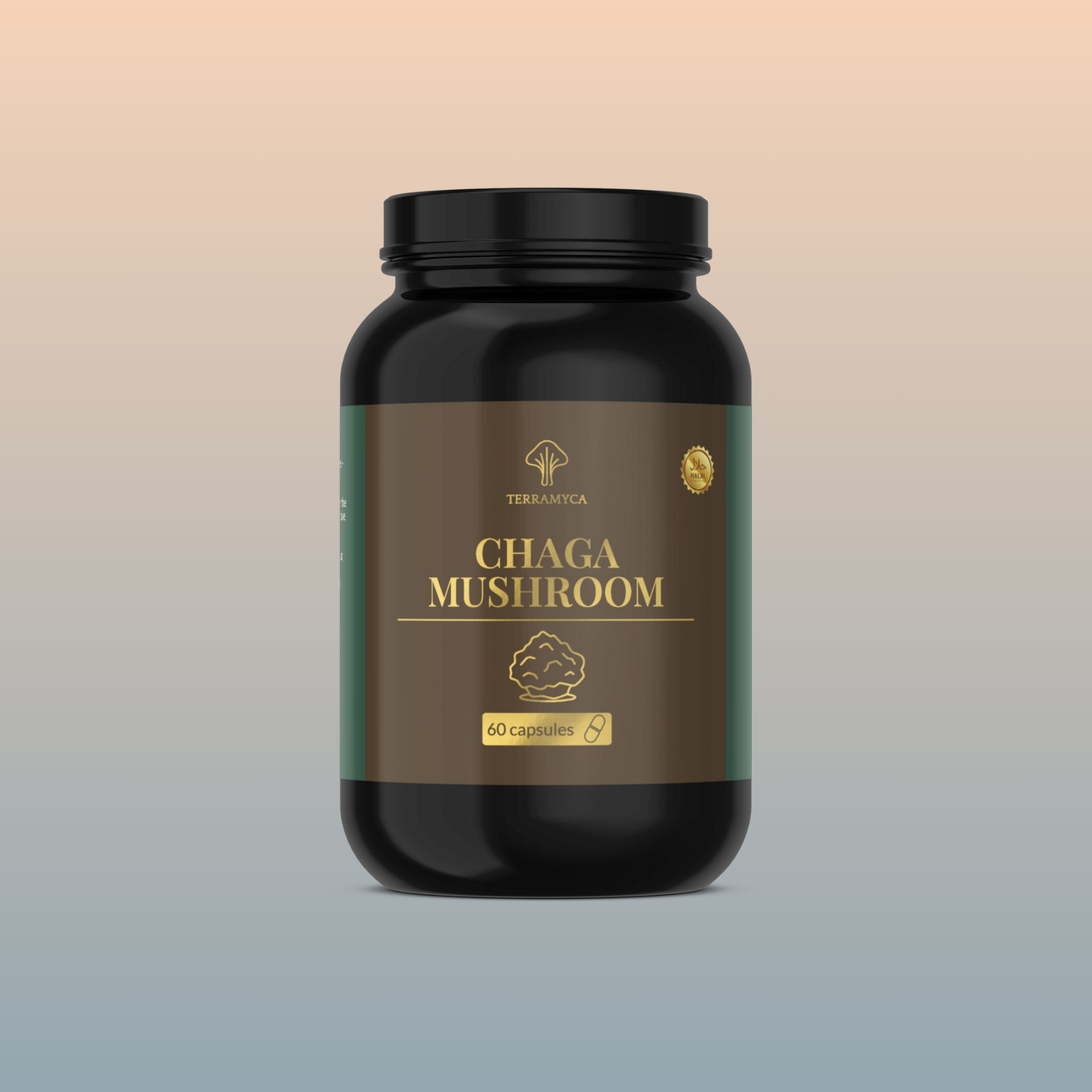 Chaga Mushroom