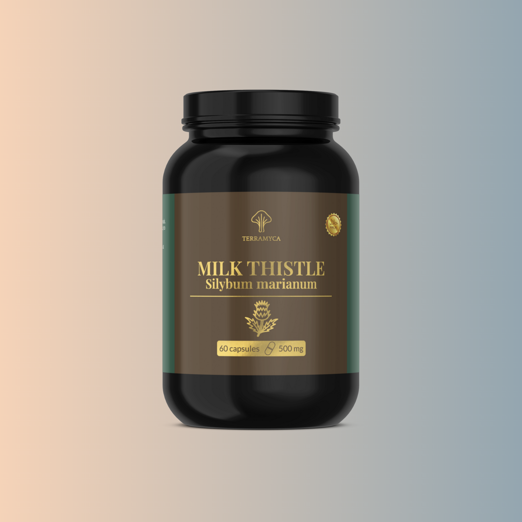 Milk Thistle (Silybum marianum)