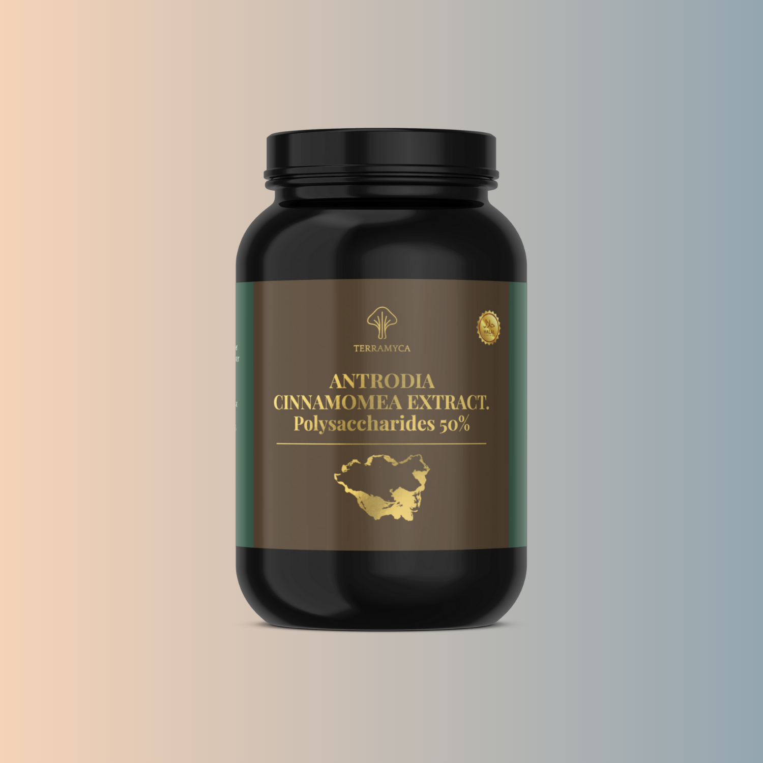 Digestive Supplements