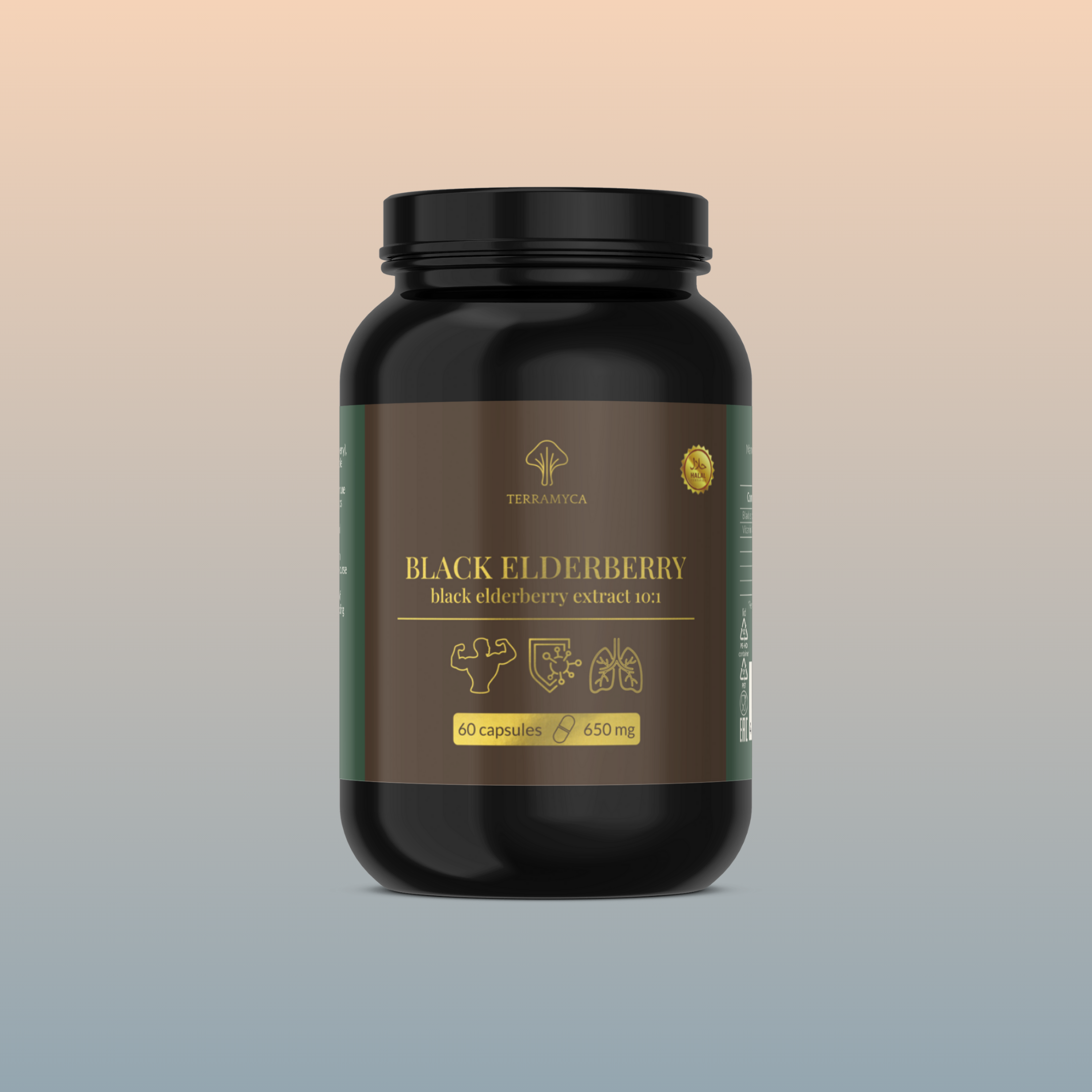 Black Elderberry