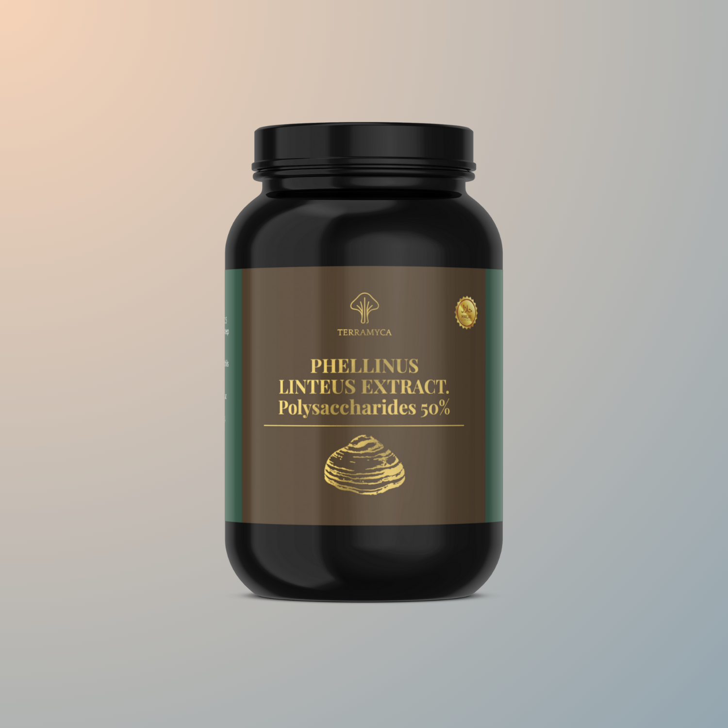 Phellinus Linteus Extract