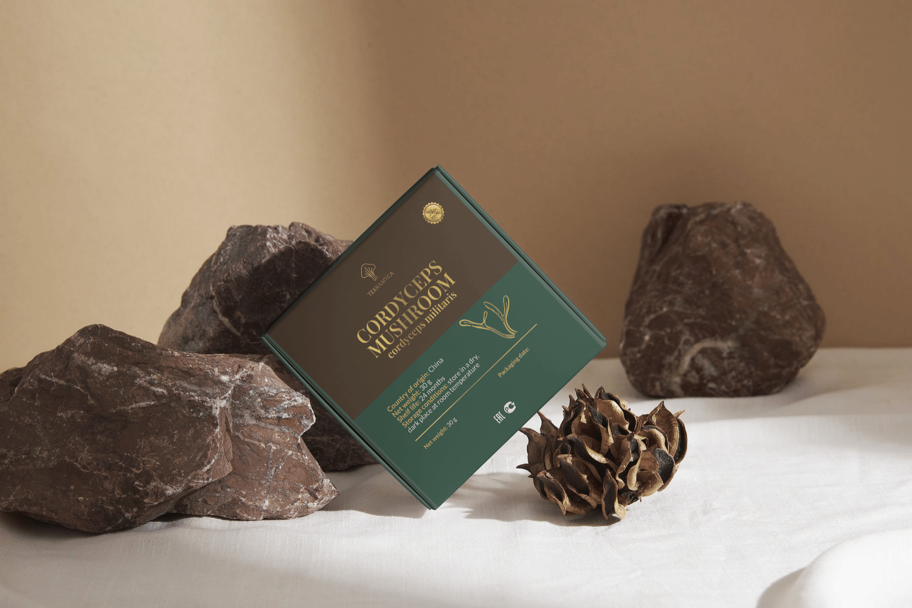 Cordyceps – The Mushroom of Vitality and Cellular Resilience